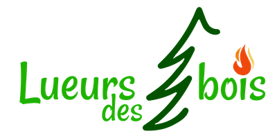 LogoLueursdesbois site